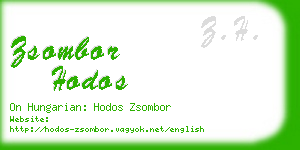 zsombor hodos business card